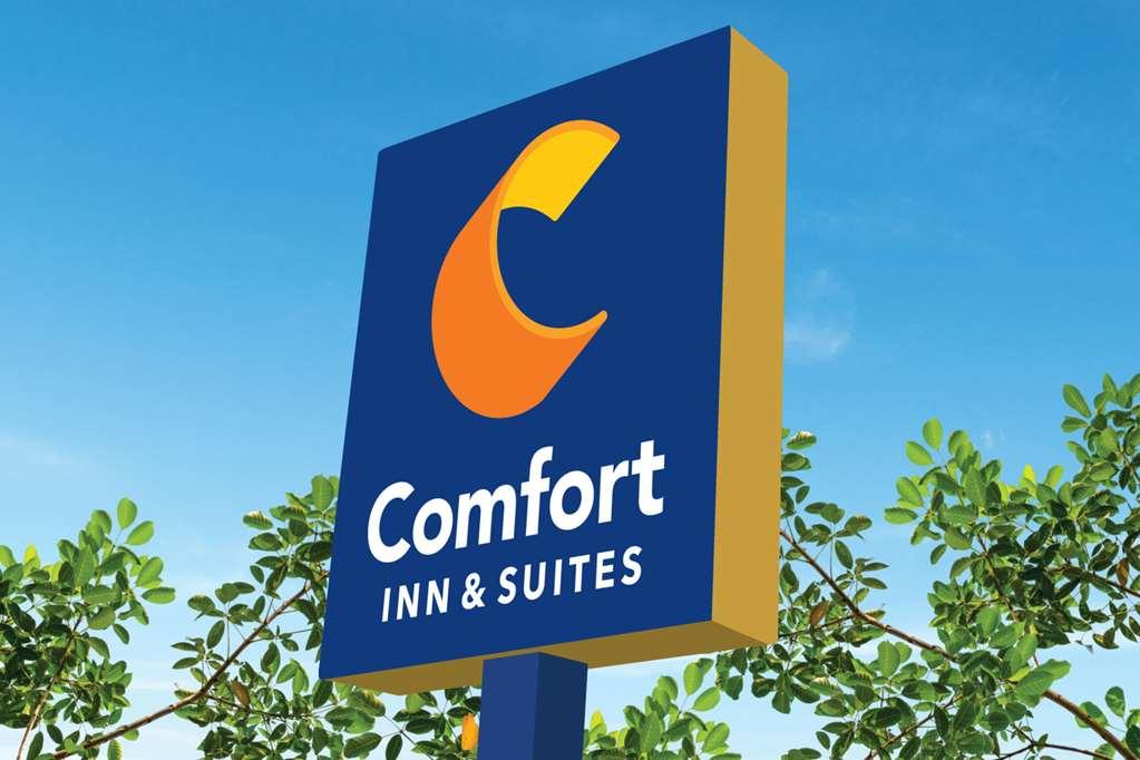 Comfort Inn & Suites Сузанвилл Экстерьер фото