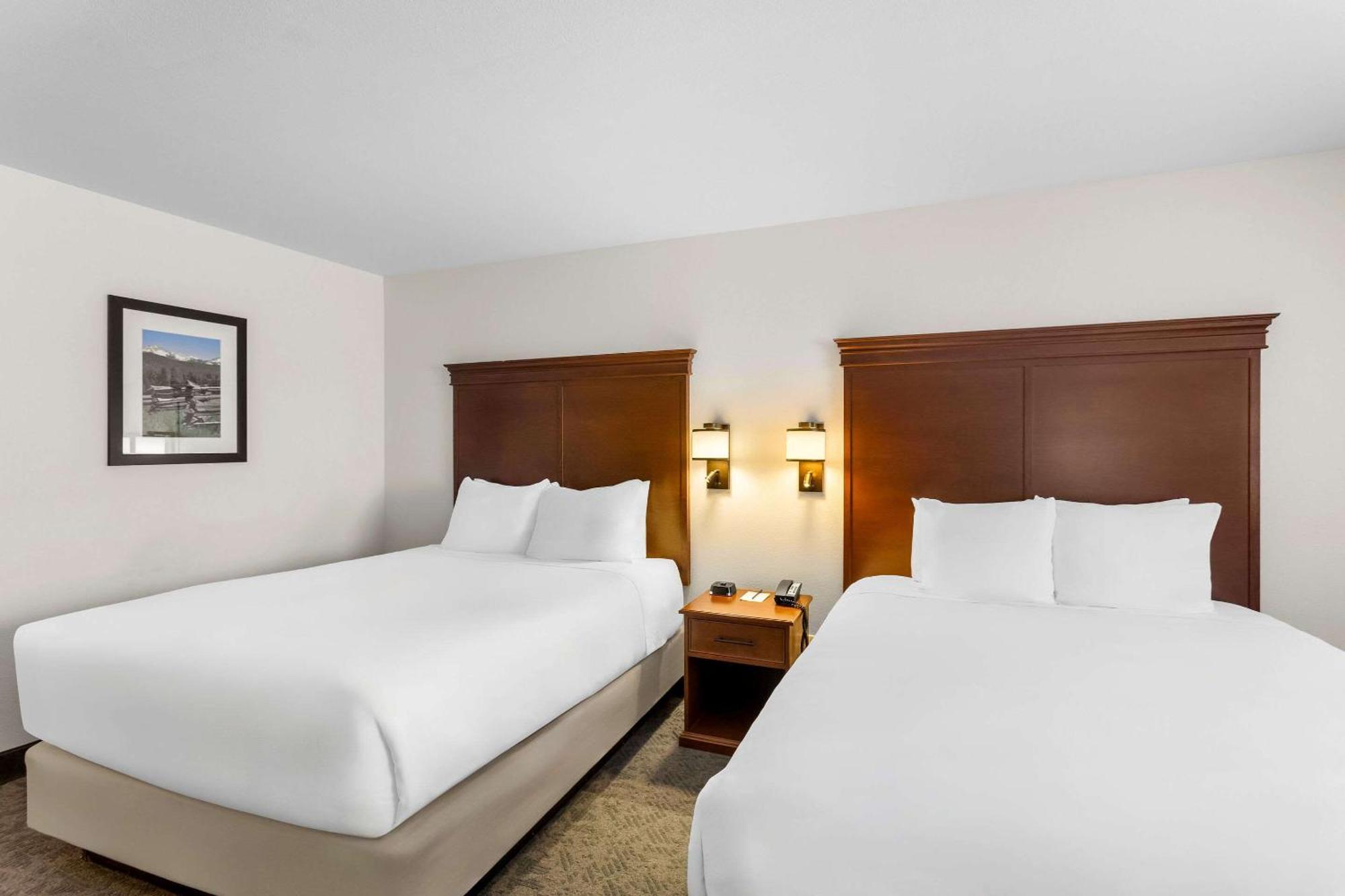 Comfort Inn & Suites Сузанвилл Экстерьер фото