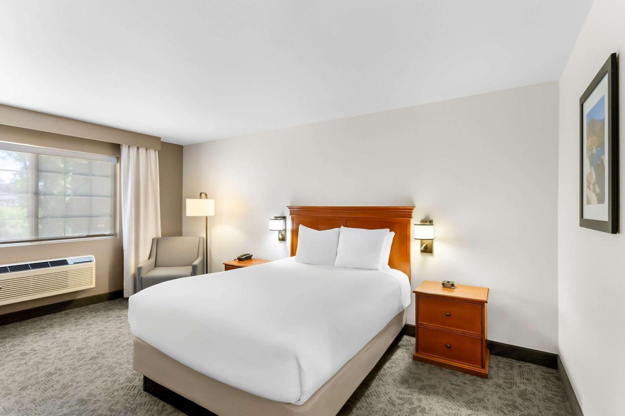 Comfort Inn & Suites Сузанвилл Экстерьер фото